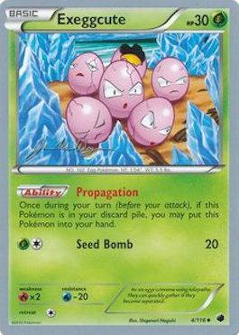 Exeggcute - Honorstoise (2015) 4
