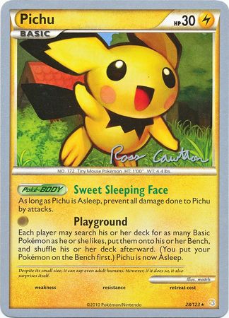 Pichu - The Truth (2011) 28